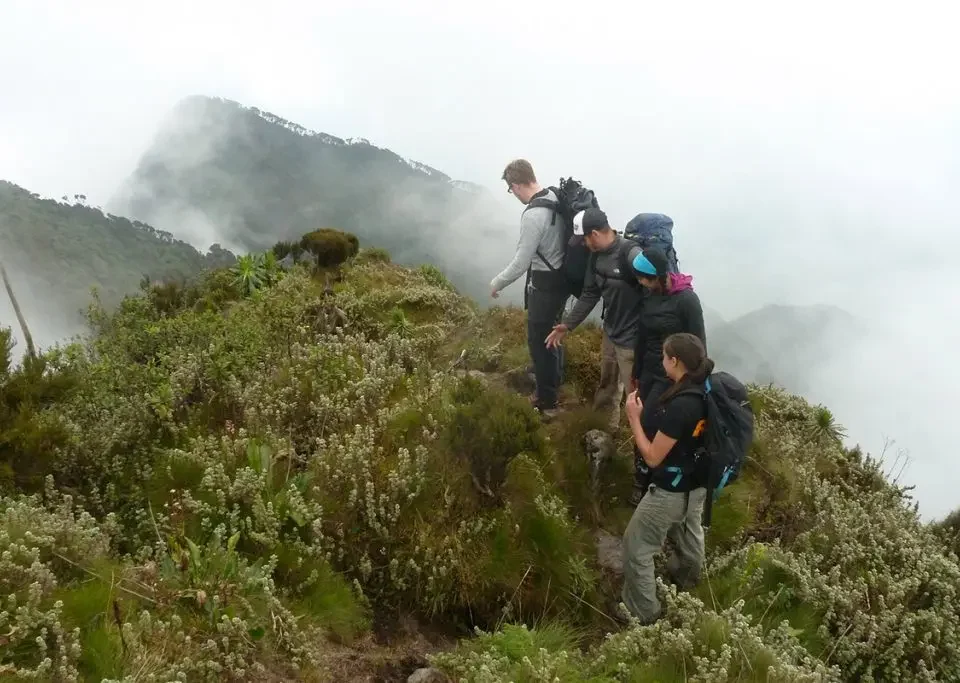 Kigali to Gorilla Trekking in One Day