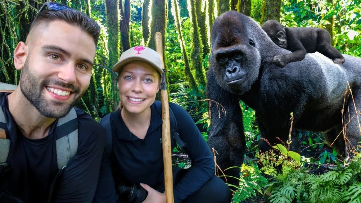 Honeymoon Gorilla Safari from Kigali
