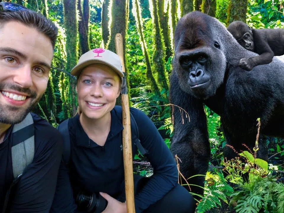 Honeymoon Gorilla Safari from Kigali