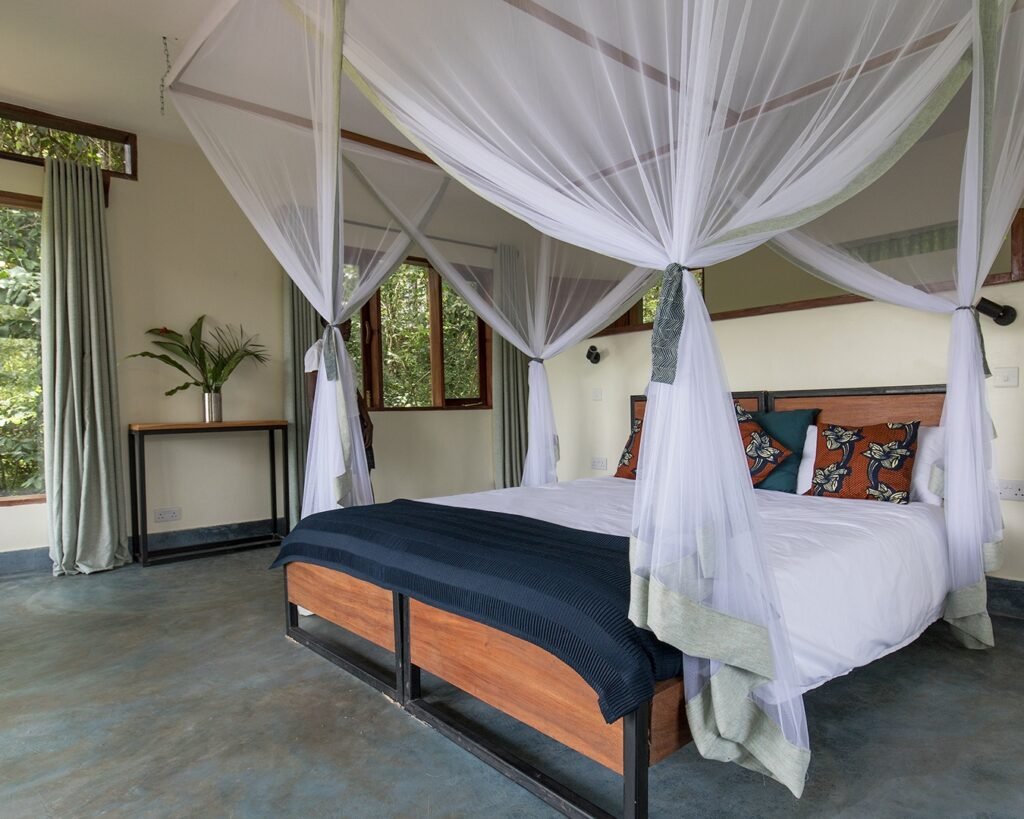 Private Gorilla Trek from Kigali