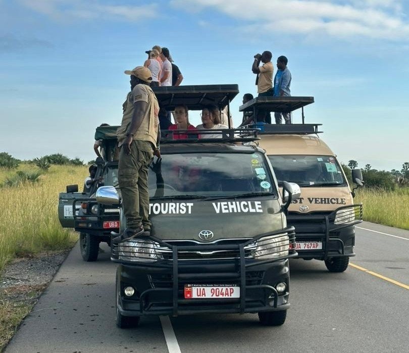 Top Selling Uganda Safaris