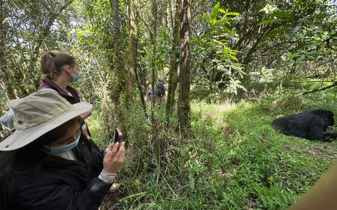 Gorilla Trekking and Lake Bunyonyi Tour