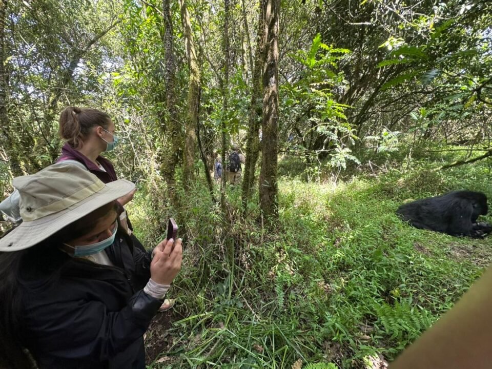 Gorilla Trekking and Lake Bunyonyi Tour