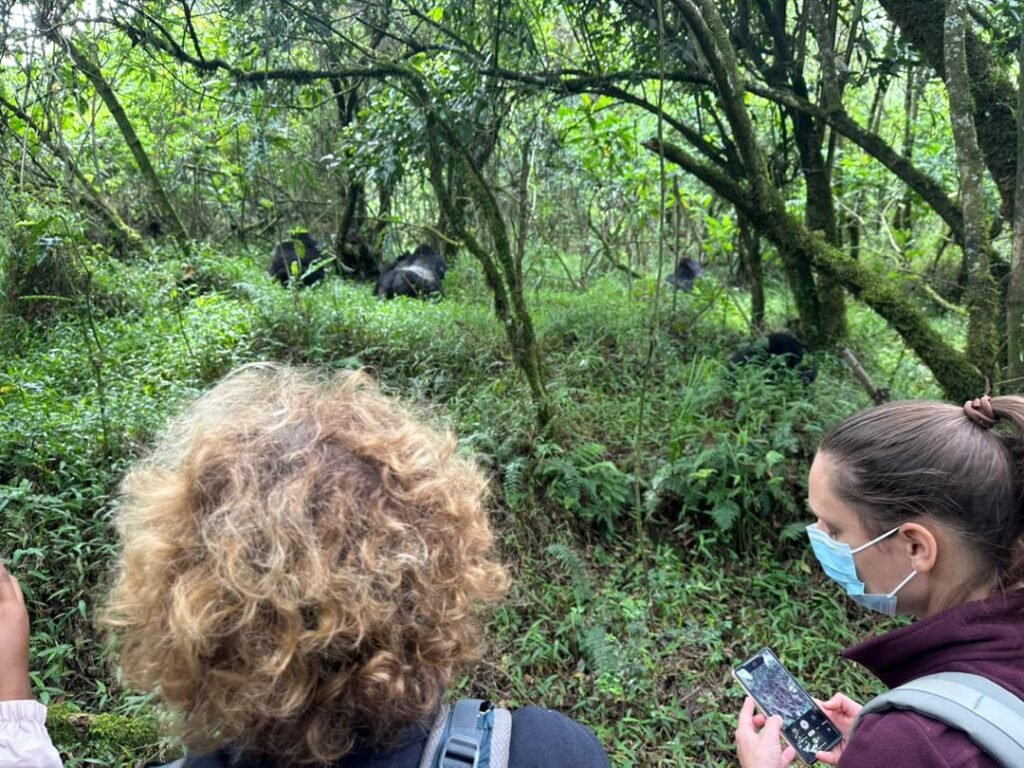 Best 1 Day Gorilla Trek from Kigali to Bwindi