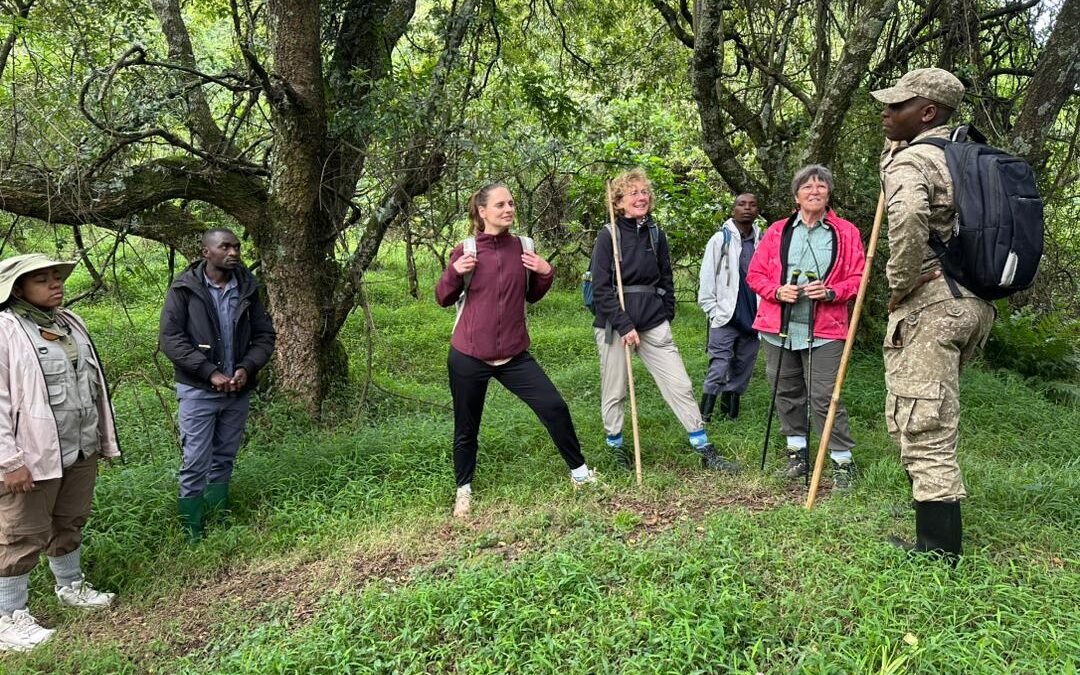 1 Day Gorilla Trekking from Kigali