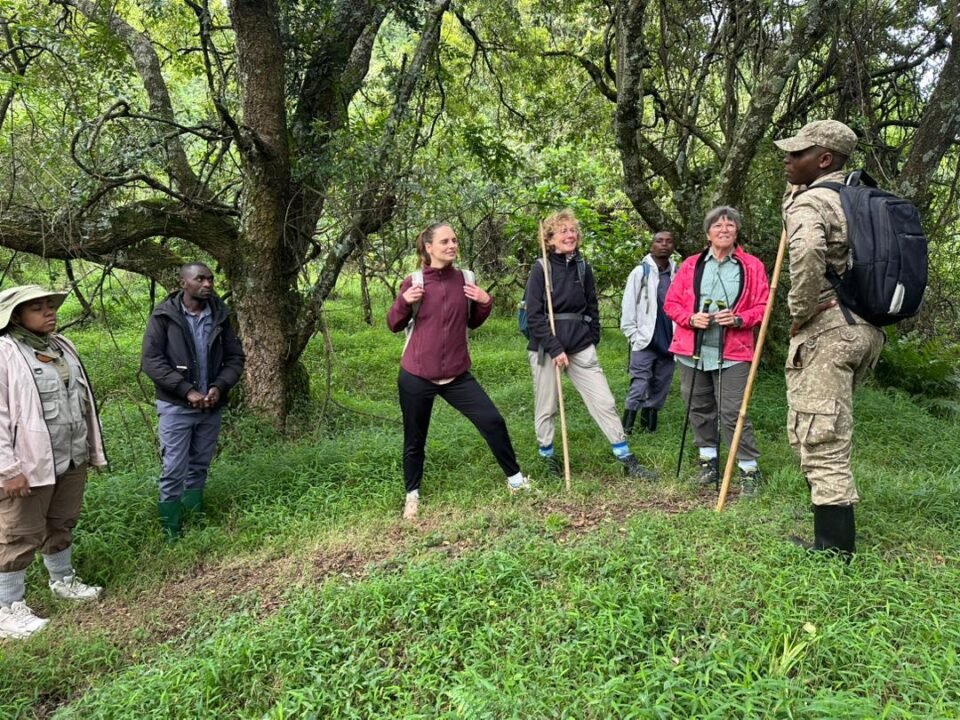 1 Day Gorilla Trekking from Kigali