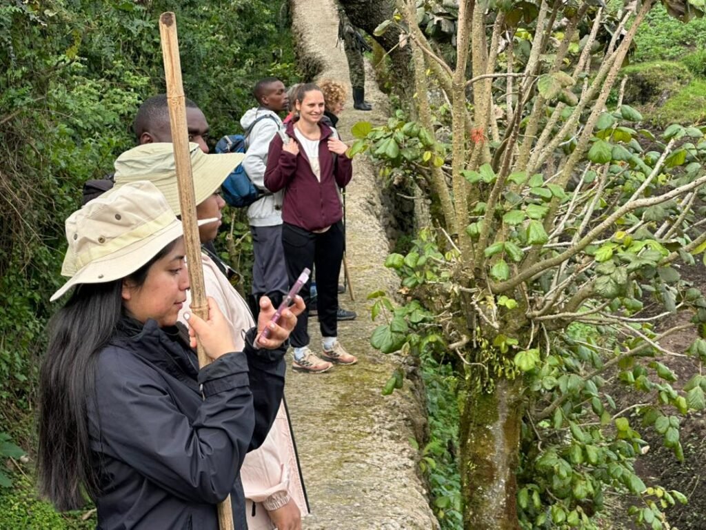Gorilla Trekking and Lake Bunyonyi Tour