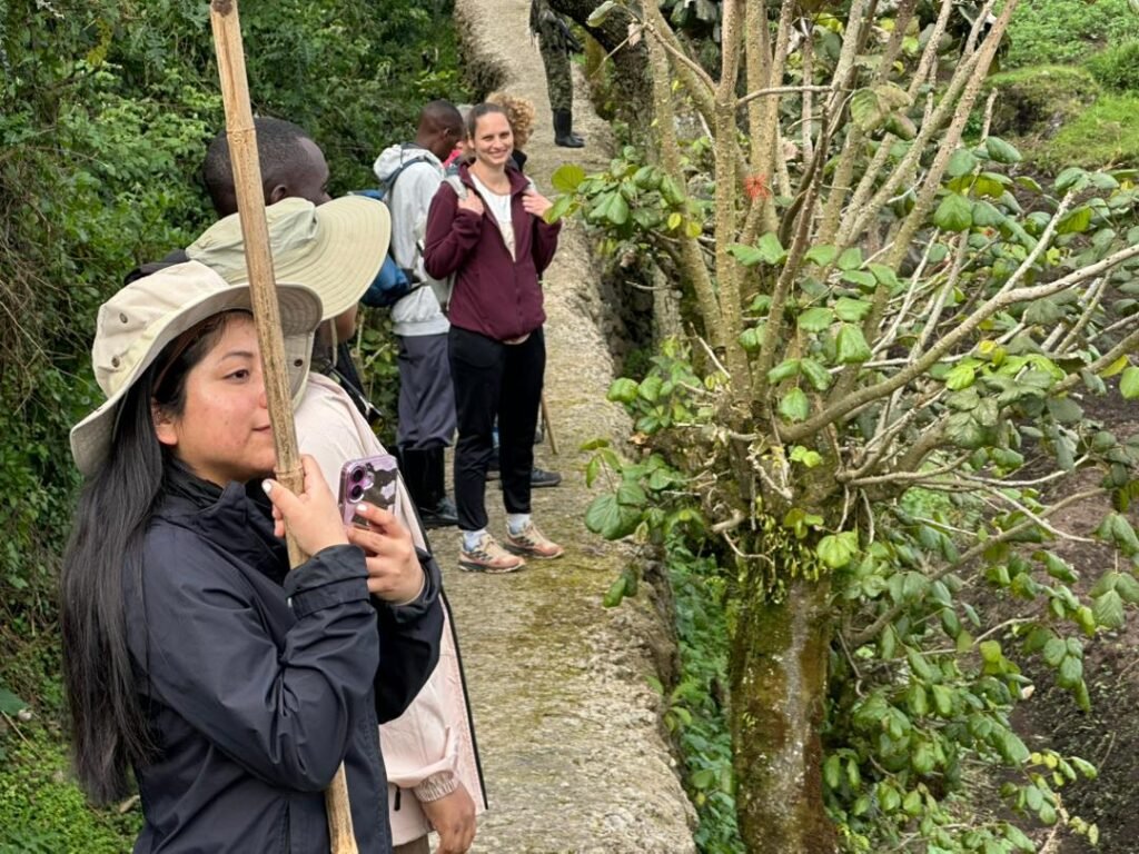 Best 1 Day Gorilla Trek from Kigali to Bwindi