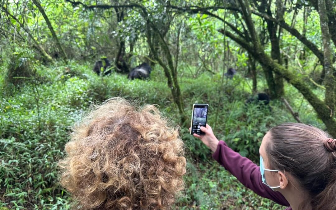 The Best Wildlife Experience in Rwanda Beyond Gorillas
