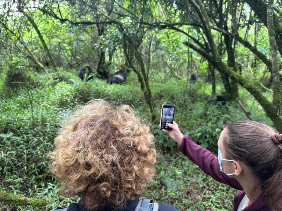 The Best Wildlife Experience in Rwanda Beyond Gorillas