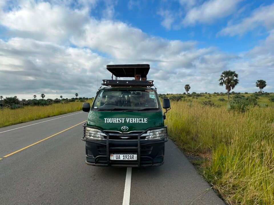 Companies offering transfers from Kigali to Bwindi