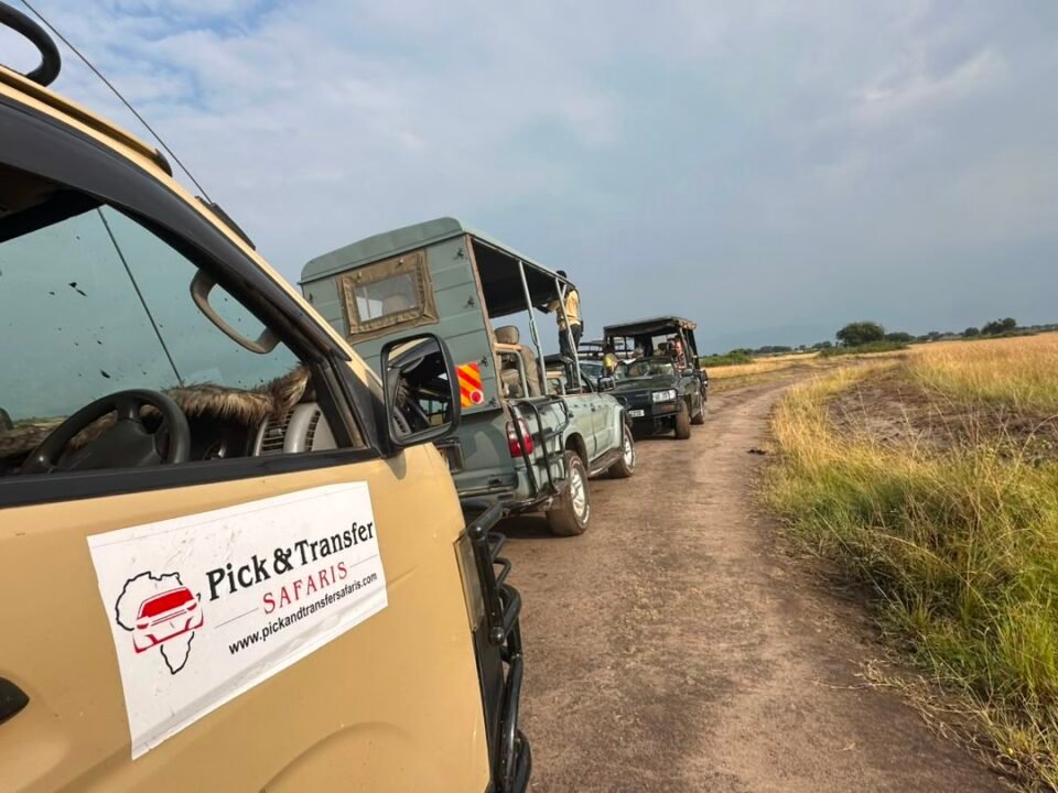 Queen Elizabeth Safari After Gorilla Trek