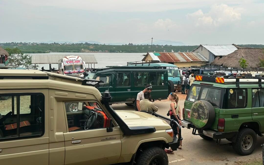 Last Minute Gorilla Trek from Kigali