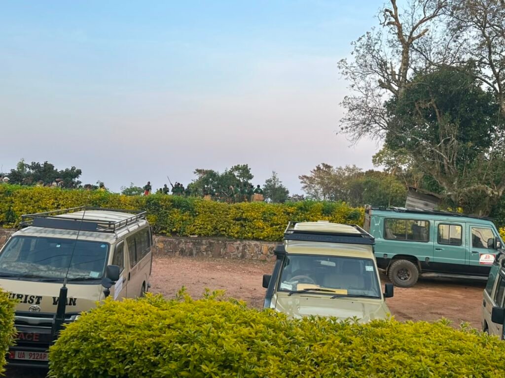 Short Bwindi Gorilla Safari from Kigali