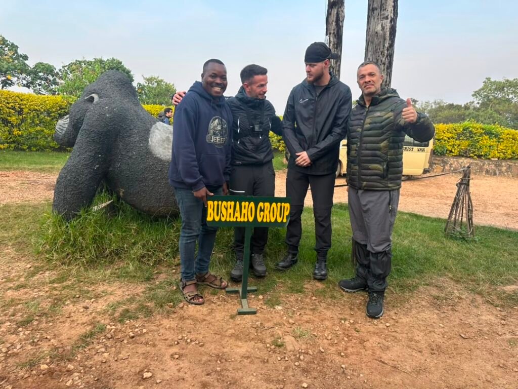 Last Minute Gorilla Trek from Kigali
