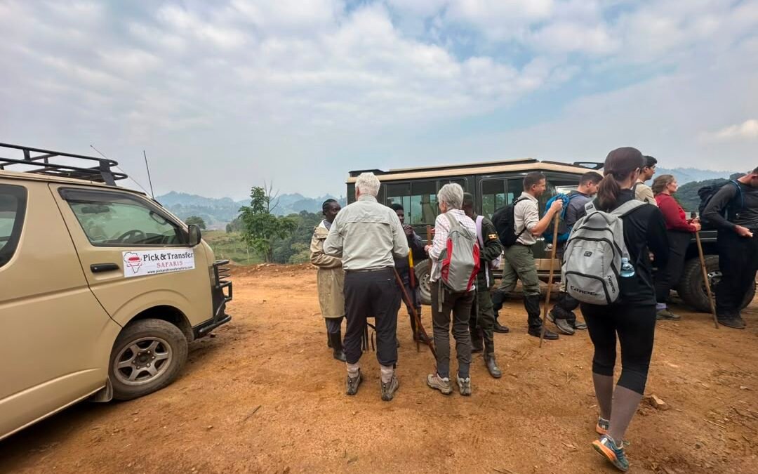 Gorilla Trekking Starting from Kigali Airport
