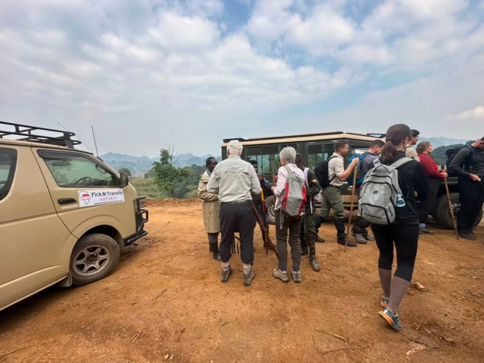 Top Selling Gorilla Tours in Uganda