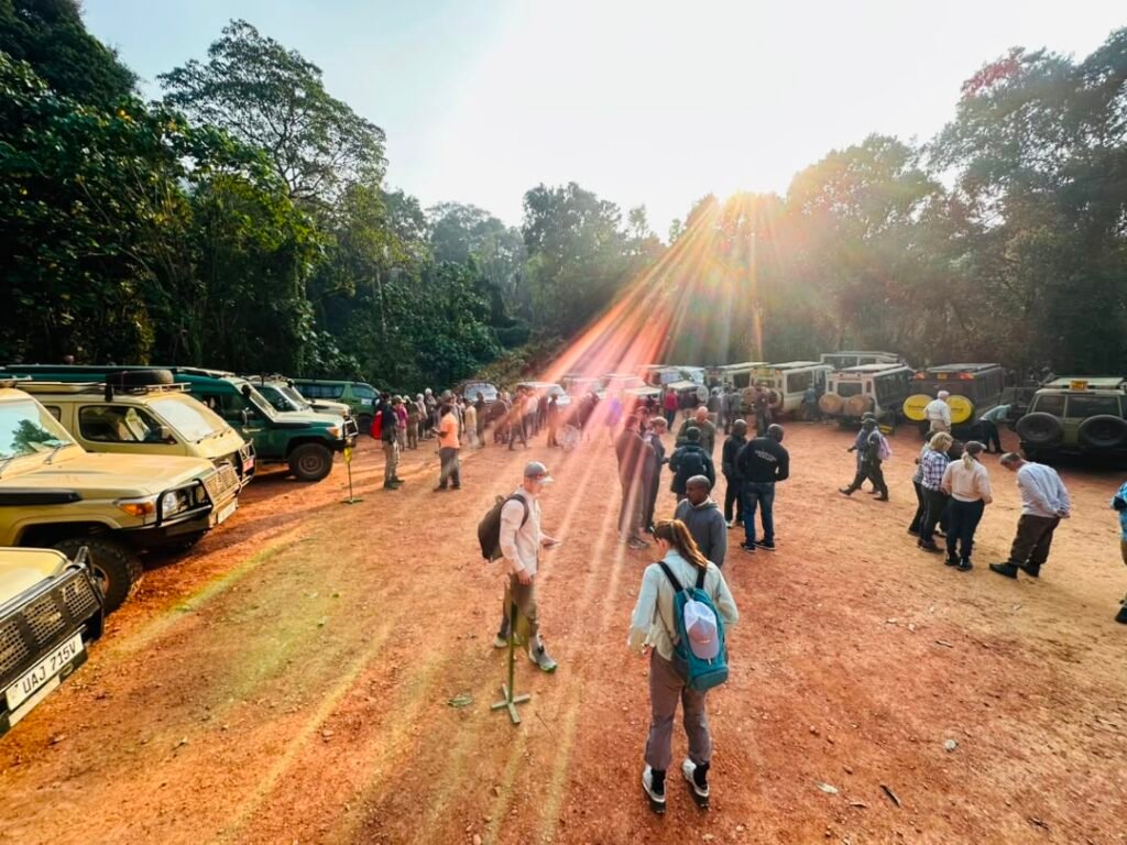 Kigali to Rushaga Gorilla Trek