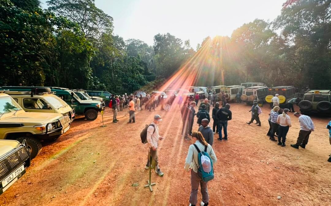 Kigali to Rushaga Gorilla Trek