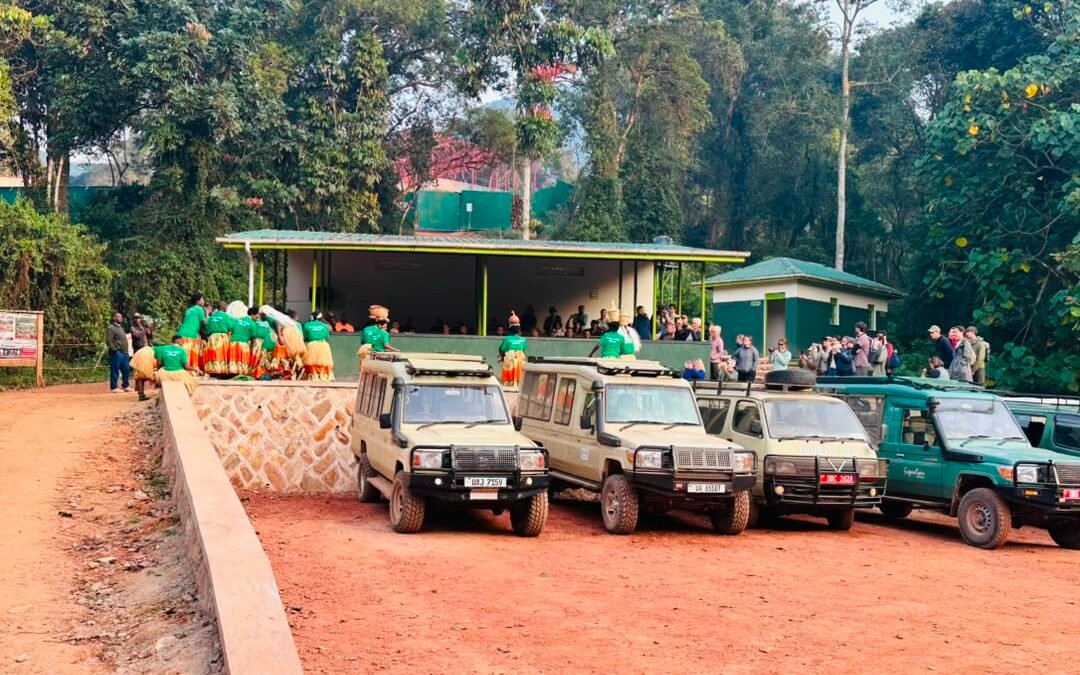 Land in Kigali and Go gorilla trek in Bwindi