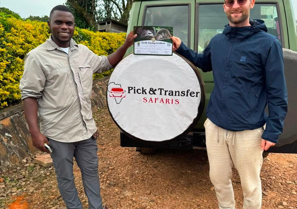 One day Gorilla Tour in Uganda from Kigali