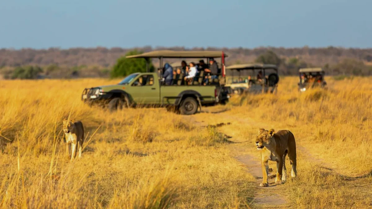 Combining Kenya And Tanzania Safari