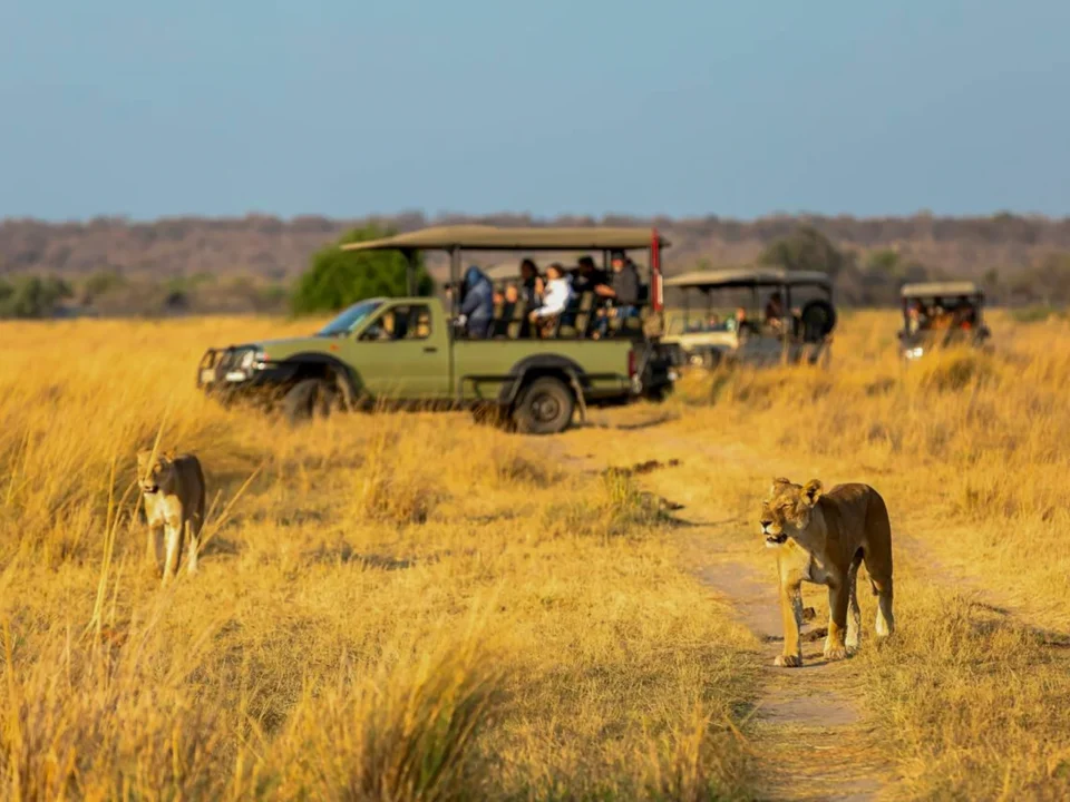 Combining Kenya And Tanzania Safari