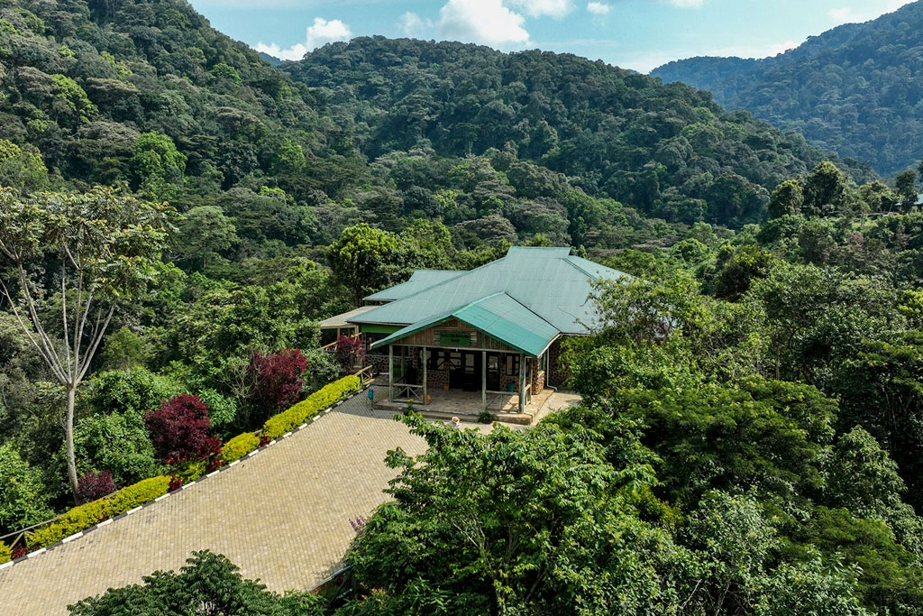Kigali to Bwindi Gorilla Trek Cost