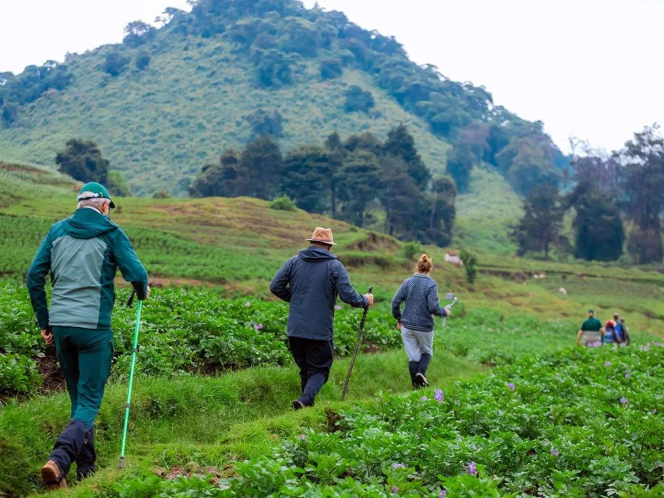 Gorilla Trek from Kigali for Europeans