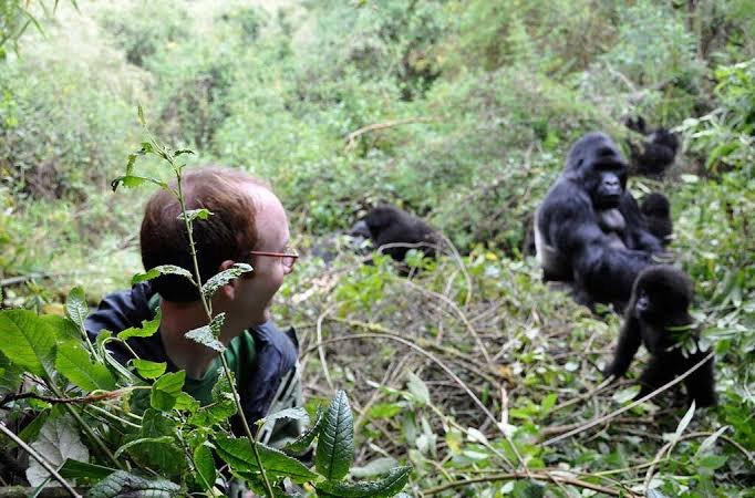 Top Selling Uganda Safaris