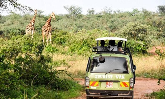 Rwanda in 7 Days: The Ultimate One-Week