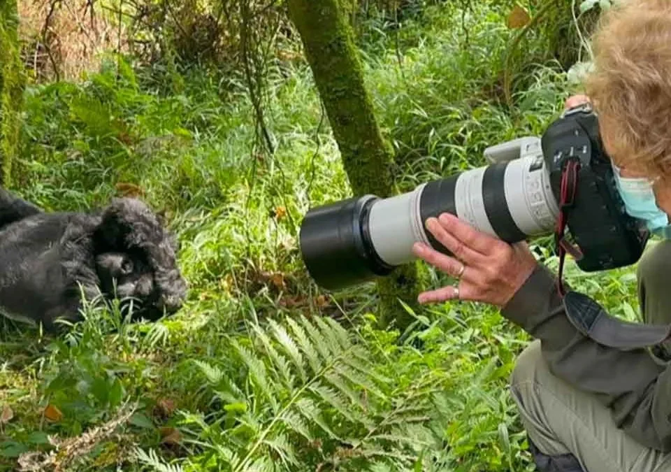 1-Day Gorilla Trekking Tour from Kigali to Uganda