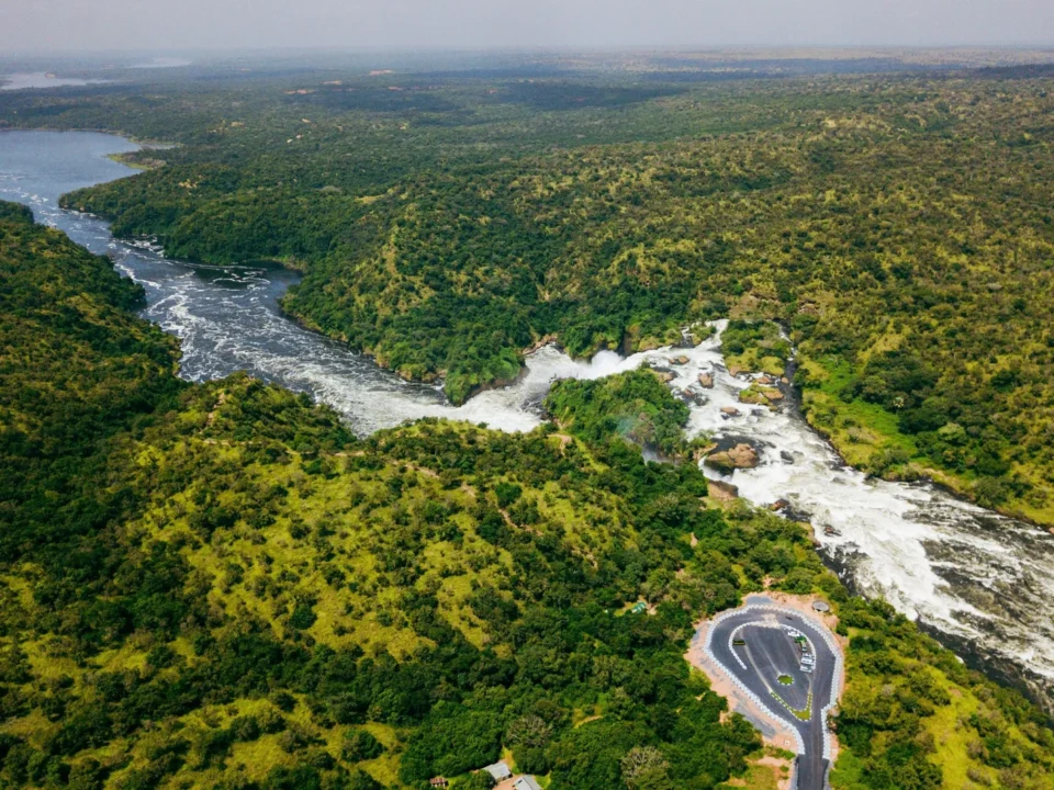 Two Days Tour to Murchison Falls National Park