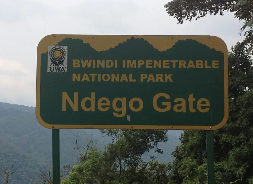 Kigali Transfers to Bwindi National Park