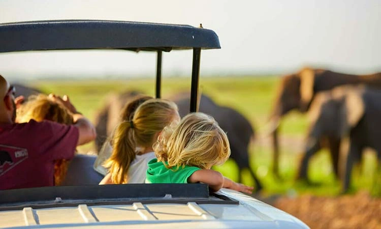 Safaris for Families in Uganda