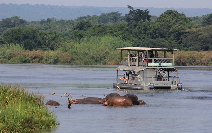 Tour to Murchison Falls and Kibale National Park