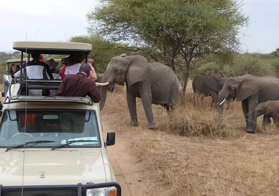 Best East Africa Combining Safari
