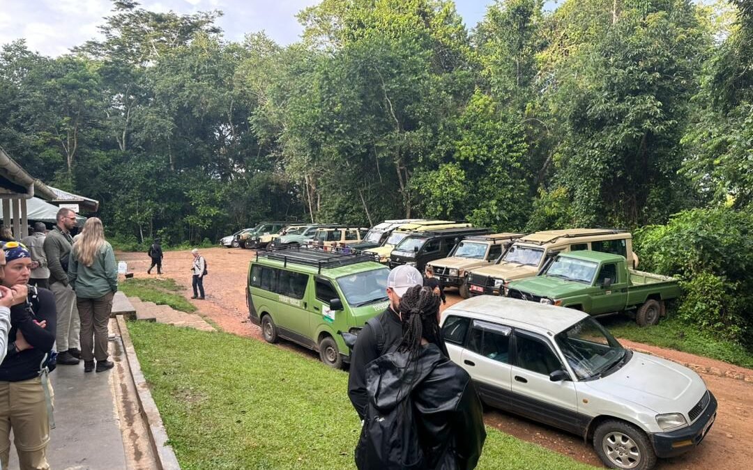 How Much Does a 1 Day Gorilla Trekking Tour from Kigali Cost?