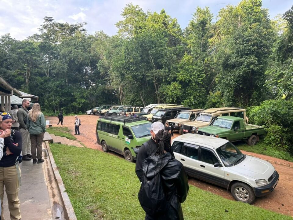 How Much Does a 1 Day Gorilla Trekking Tour from Kigali Cost?
