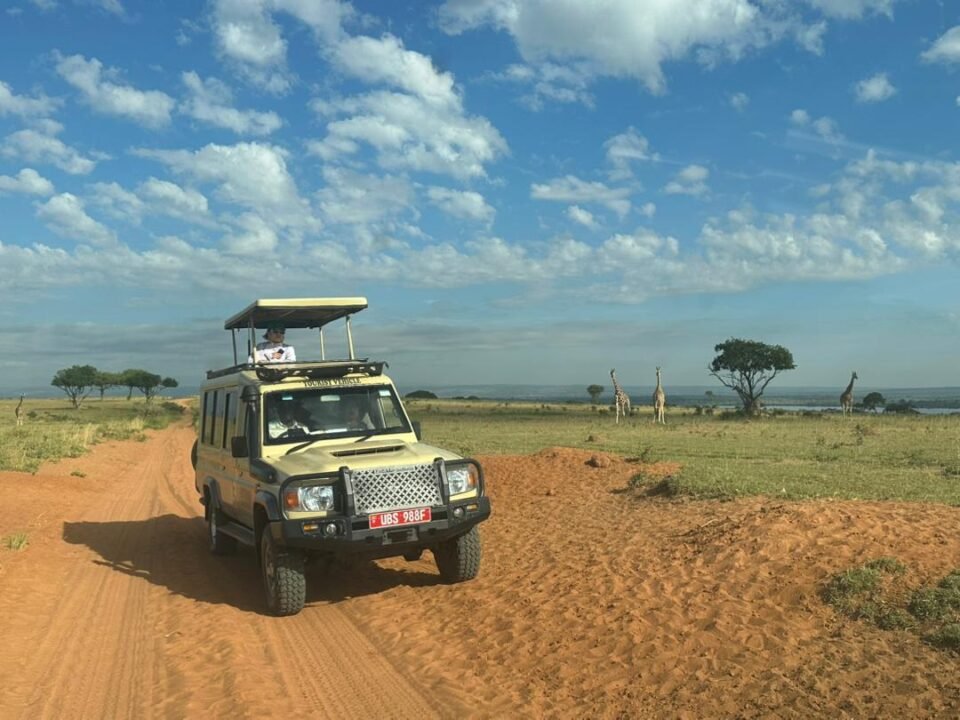 How to Combine Rwanda and Uganda on One Safari