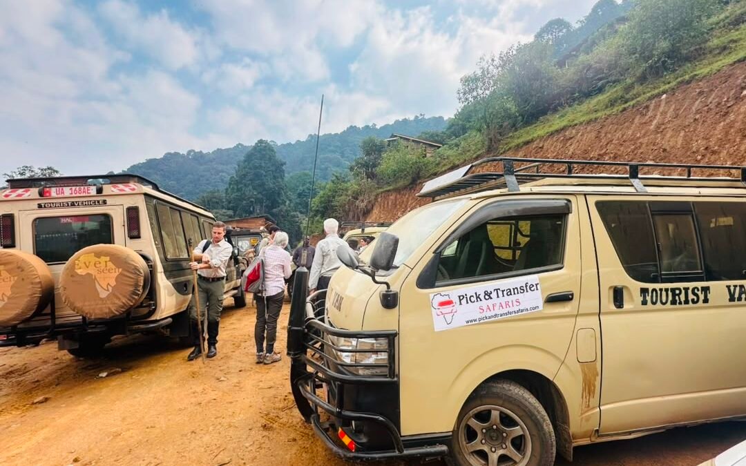 Two Day Bwindi Gorilla Trekking from Kigali