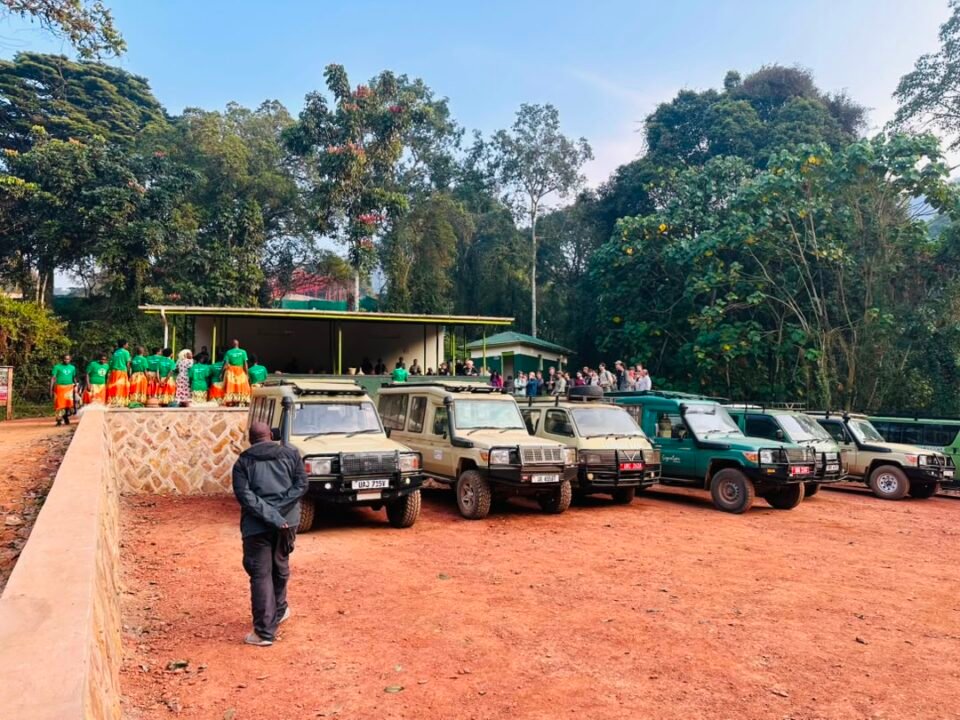 Short Uganda Gorilla Safaris from Kigali
