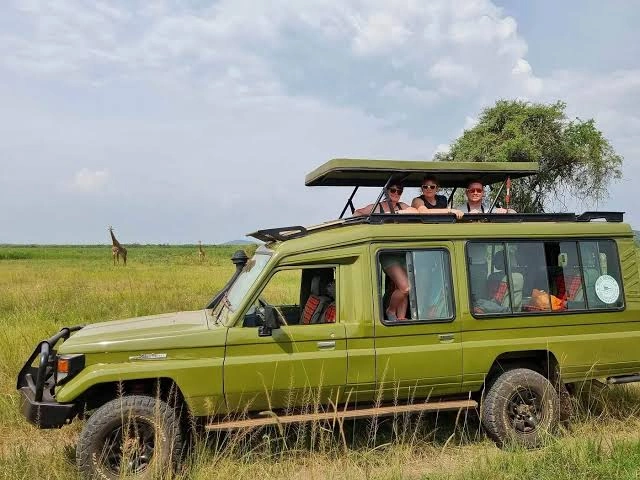 Best Group Safaris in Uganda