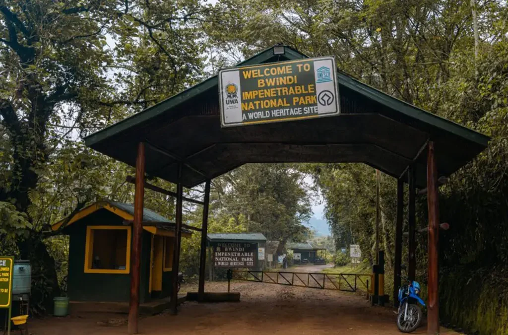 How much is a transfer from Bwindi to Kigali Rwanda