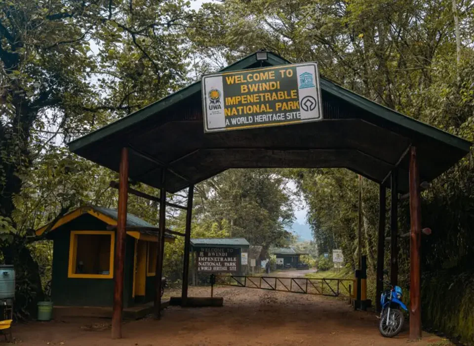 How much is a transfer from Bwindi to Kigali Rwanda