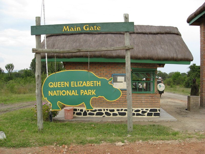 Safaris to Queen Elizabeth National Park from Kampala