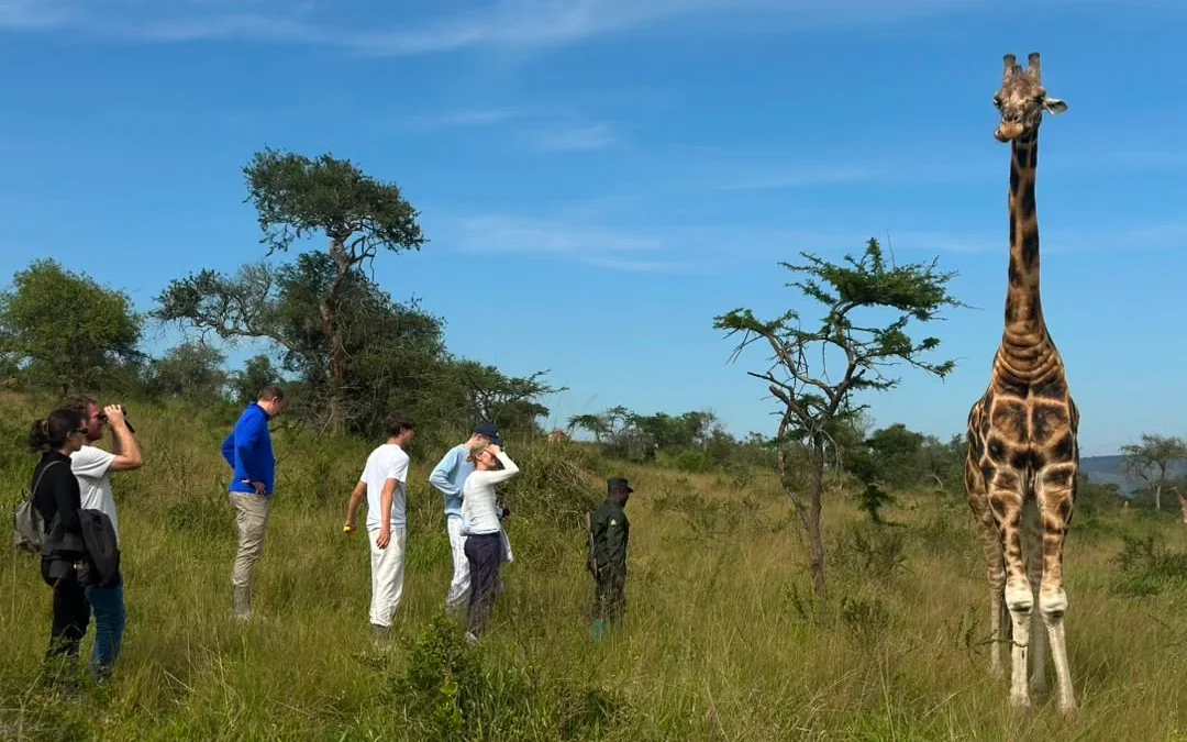 Christimas Holiday Safaris in Uganda