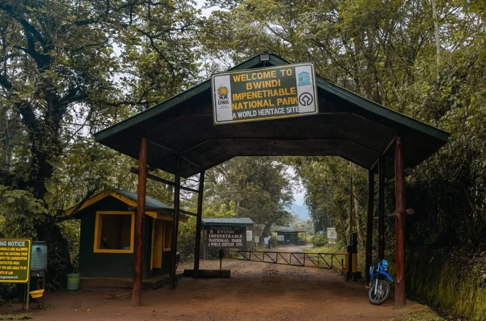 Gorilla Trek in Bwindi for Two days tour