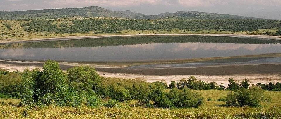 Uganda Safari (Bwindi Lake Mburo and Queen Elizabeth