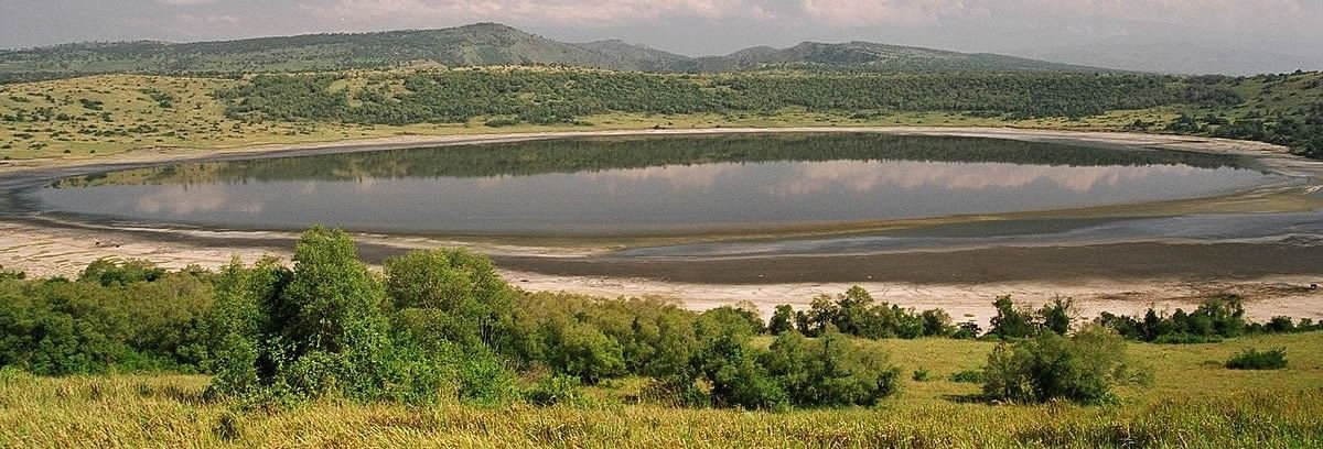 Uganda Safari (Bwindi Lake Mburo and Queen Elizabeth
